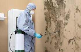 Best Air Quality Testing for Mold Spores in Whittier, CA